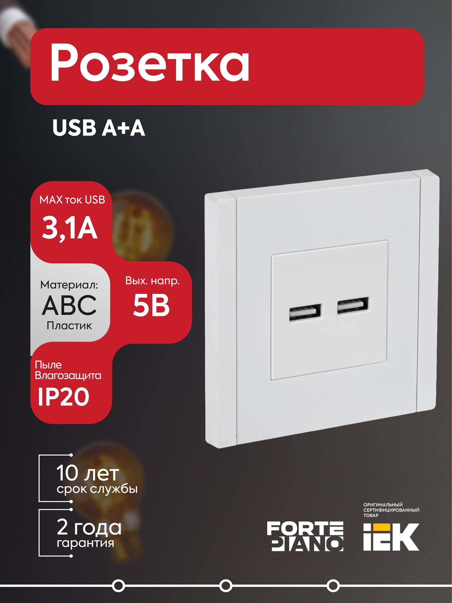 Розетка USB A+A 3.1А FORTE&PIANO FP249 бел. IEK