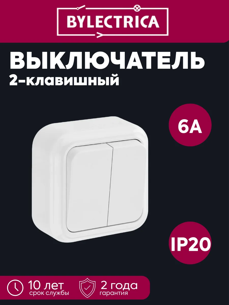 Выкл. 2-клав. ОП 6А IP20 белый Пралеска А56-134
